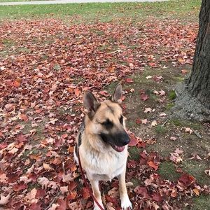 Meet your Posher, Tori